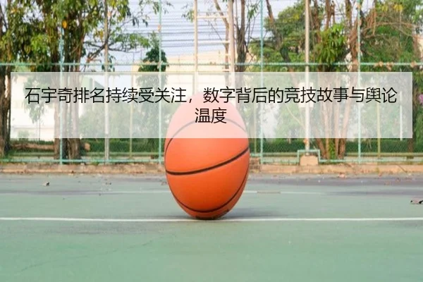 石宇奇排名持续受关注，数字背后的竞技故事与舆论温度